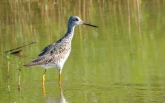 12th Aug 2015 017.JPG