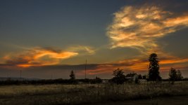 DSCN0241.jpg