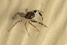 DSC_1198.jpg