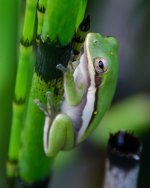 DSC_1205.jpg