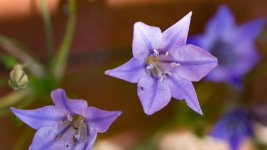 DSC_4608.jpg