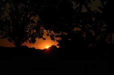 13th Aug 2015 004.JPG