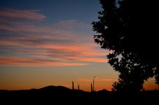 13th Aug 2015 017.JPG