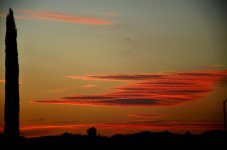 13th Aug 2015 028.JPG