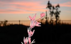 13th Aug 2015 021.JPG