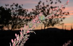 13th Aug 2015 024.JPG