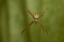 DSC_1220.jpg