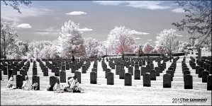 8-13-15 Nat'l Cemetery  IR   2.jpg