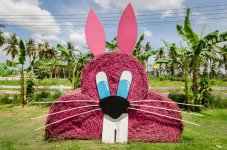 rabbit.jpg