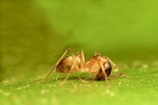 DSC_1240.jpg