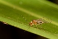 DSC_1248.jpg