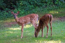 DSC_5172_DxO.jpg
