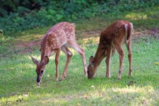 DSC_5177_DxO.jpg