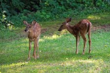 DSC_5190_DxO.jpg
