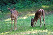 DSC_5221_DxO.jpg