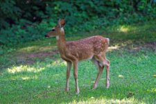 DSC_5230_DxO.jpg