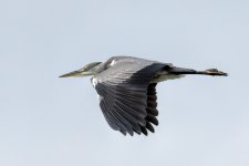 _DSC5839-2.jpg