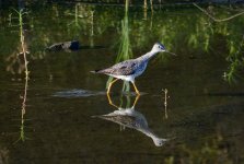 15th Aug 2015 038.JPG