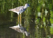 15th Aug 2015 039.JPG