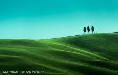 tus_6a_2015_8641-Edit-2cbp.jpg