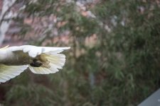 untitled-1-87.jpg
