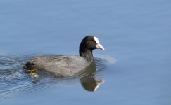 DSC_0131.jpg