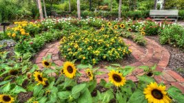 Huntsville,Alabama. Gardens.--25 (1000x562).jpg