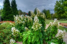 Huntsville,Alabama. Gardens.--24 (1000x665).jpg