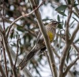 untitled-1-129.jpg