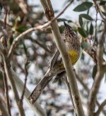 untitled-1-128.jpg