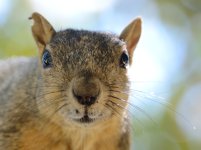 16th Aug 2015 006.JPG