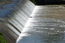 16th Aug 2015 012.JPG