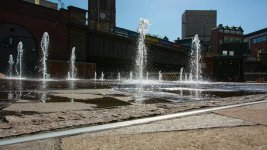 DSC_4687.jpg