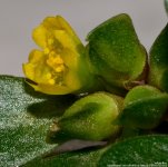 GSC_6249.jpg