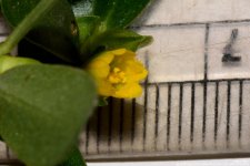 GSC_6252.jpg