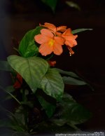 GSC_6038.jpg