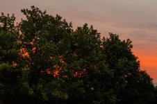Sunrise-8243.jpg