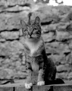 BW_2015_16_24.jpg
