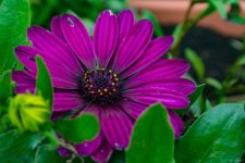 DSC_0135.jpg