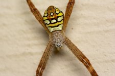 DSC_1301.jpg