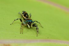 DSC_1325.jpg