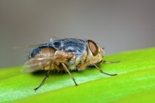 DSC_1326.jpg