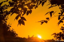 Here Comes the Sun-7311.jpg