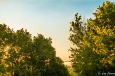 Here Comes the Sun-7316.jpg