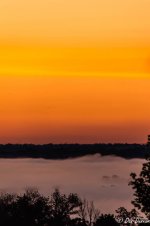Sunrise and Fog-7826.jpg