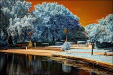 8-16-15 UC  IR   22.jpg