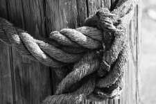 this is Knot #1.jpg