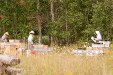 Workers-1004.jpg