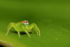 DSC_1357.jpg