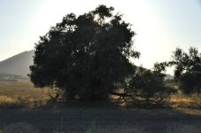 18th Aug 2015 001.JPG